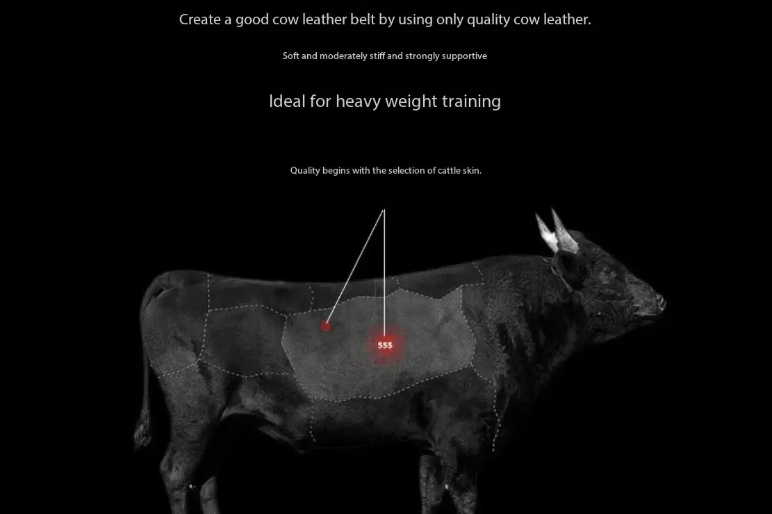 Cowhide Fitness Waist Belt (1).jpg